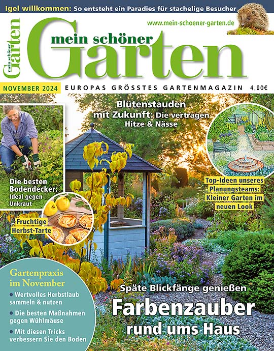 Mein schöner Garten SPARPAKETE